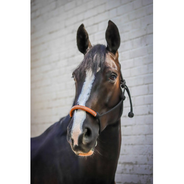 Ethologisch halster Pénélope Amerikaans Zwart