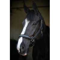 Lederen halster Pénélope Point Sellier Zwart