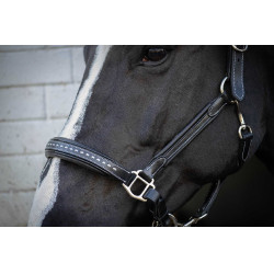 Lederen halster Pénélope Point Sellier Zwart