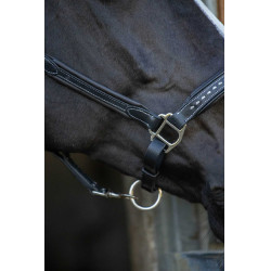 Lederen halster Pénélope Point Sellier Zwart