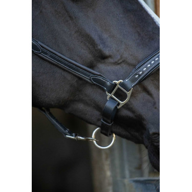 Lederen halster Pénélope Point Sellier Zwart