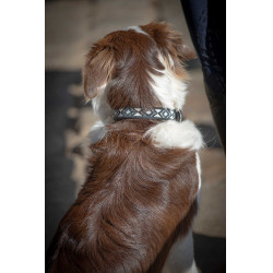 Halsband voor hond Pénélope Pearl Zwart / wit Halsband voor hond Pénélope Pearl Zwart / wit