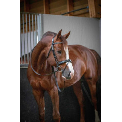 Bridon Pénélope Daily Zwart