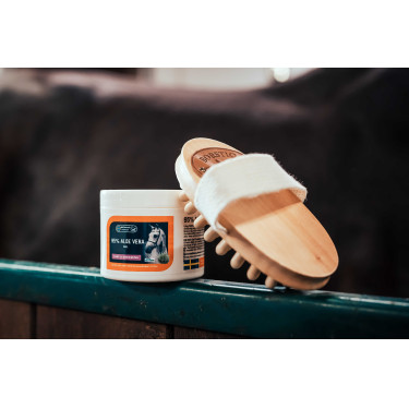 Massageborstel in beukenhout Borstiq Massageborstel in beukenhout Borstiq