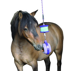 Spel zoutsteen Boredom Buster Likit Violet