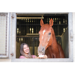 Liksteen Little Likit