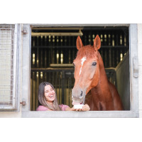 Pierre à lécher Little Likit Pierre à lécher Little Likit