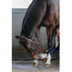 Liksteen Little Likit