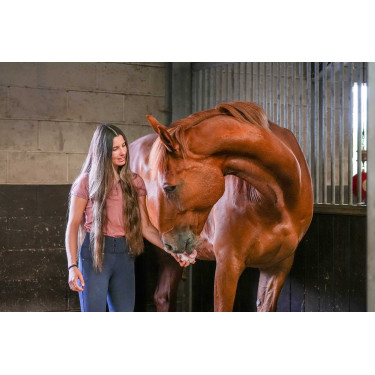 Pierre à lécher Little Likit