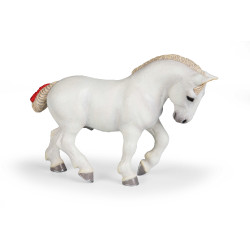 Witte Percheron Papo