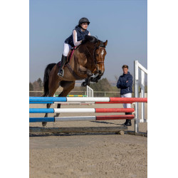 Gilet Pro Series Piaffer Bleu marine