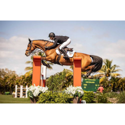 Handschoenen Racer® Tradition Zwart Handschoenen Racer® Tradition Zwart