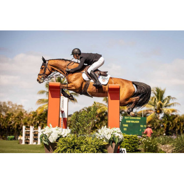 Handschoenen Racer® Tradition Zwart Handschoenen Racer® Tradition Zwart