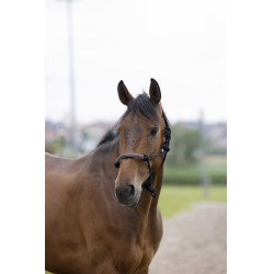 Licol éthologique Norton corde/synthétique Noir