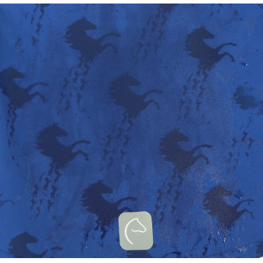 Softshell Equi-Kids Amandine Marineblauw