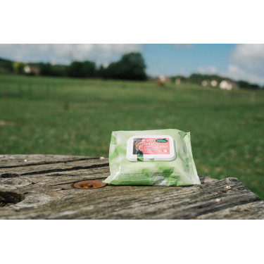 Easy Shine Wipe Ravene Lingettes nettoyantes