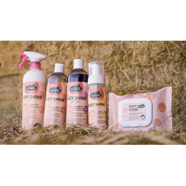 Easy Shine Wipe Ravene Lingettes nettoyantes