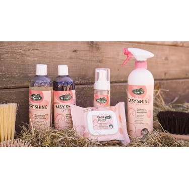 Easy Shine Wipe Ravene Lingettes nettoyantes