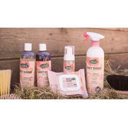 Easy Shine Wipe Ravene Reinigingsdoekjes