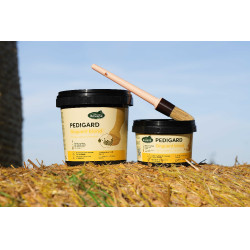 Pediguard Ravene Blonde Zalf