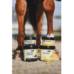 Pediguard Ravene Blonde Zalf