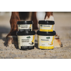 Pediguard Ravene Blonde Zalf