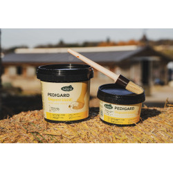 Pediguard Ravene Onguent blond