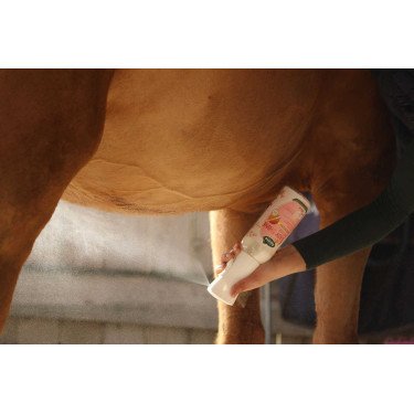 Easy Shine Intense Ravene navulling