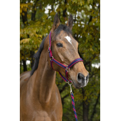 Halster + lijn Equitheme Satiné Marine / fuchsia Blauw