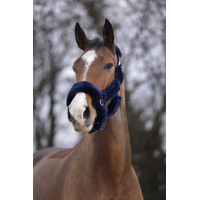 Halster Equithème Teddy roségoud Zwart