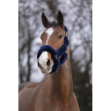 Halster Equithème Teddy roségoud Zwart