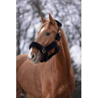 Halster Equithème Teddy roségoud Zwart