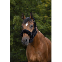 Set voor halster Equithème Teddy Zwart