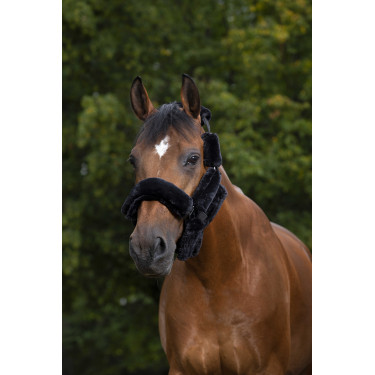 Set voor halster Equithème Teddy Zwart