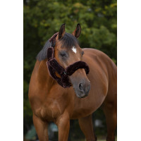 Set voor halster Equithème Teddy Bruin