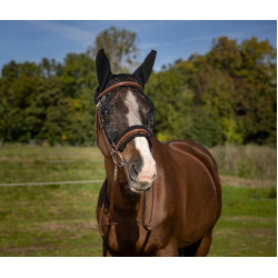 Anti-vliegmasker Equithème Training