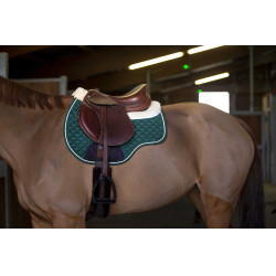 Tapis amortisseur Norton Vert Tapis amortisseur Norton Vert