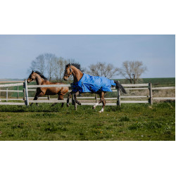 Equithème Tyrex 1200D Aisance deken Blauw / zwart