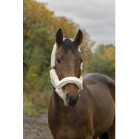 Licol Norton Full mouton synthétique Fuchsia / écru Rose Licol Norton Full mouton synthétique Fuchsia / écru Rose