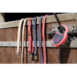 Collier cuir Diego & Louna pour chien Naturel Marron