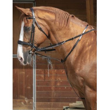 Norton Pro Thiedeman-hulpteugel Zwart