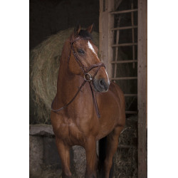 Rênes caoutchouc Norton Pro Havane Marron