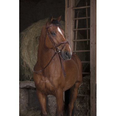 Rênes caoutchouc Norton Pro Havane Marron