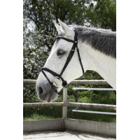 Bridon Norton Pro Combiné Zwart Bridon Norton Pro Combiné Zwart