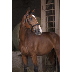 Bridon Norton Pro Combinée Noir Bridon Norton Pro Combinée Noir