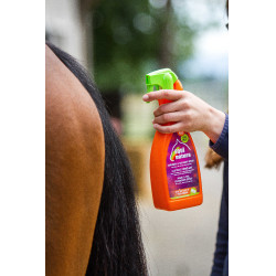 Ontklitter Equinatura