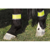 Reflecterende gele bandages voor achterbenen