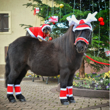 Bonnet oreilles Noël en forme de bois de renne Bonnet oreilles Noël en forme de bois de renne