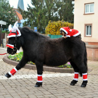 Bonnet oreilles Noël en forme de bois de renne