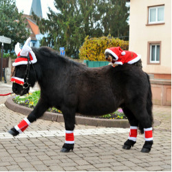 Kerstorenmuts in de vorm van rendiergewei Kerstorenmuts in de vorm van rendiergewei